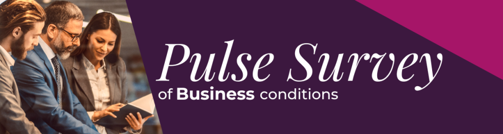 Business chamber QLD Pulse survey Business voice