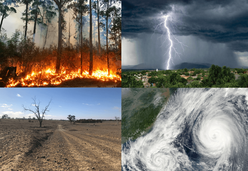 Disaster readiness support for business